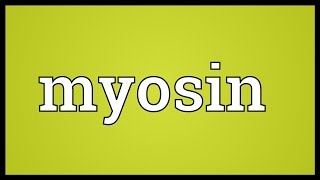 Myosin Meaning [upl. by Bonnell]