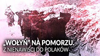 quotWołyńquot na Pomorzu Z nienawiści do Polaków II JAKA JEST PRAWDA [upl. by Nnanaej494]