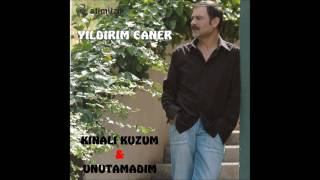 Yıldırım Caner  Unutamadım  © Official Audio [upl. by Kermy30]