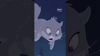 Yzmas Cat Transformation  The Emperors New Groove  Disney MENA shorts [upl. by Senalda852]