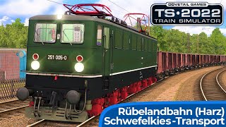 HARZBAHN  Güterzug mit Schwefelkies  TRAIN SIMULATOR 2022  Deutsche Reichsbahn – BR251 Holzroller [upl. by Nodnerb782]