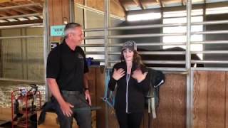 Houses and Horses with Missy Lanning of Daily Bumps [upl. by Pasadis349]