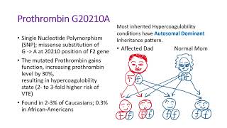 Hematology in 10 min Hypercoagulobility State and application [upl. by Natika]