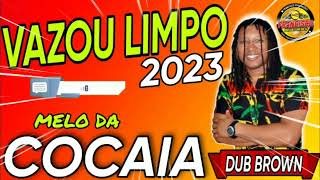 MELO DA COCAIA  DUB BROWN  REGGAE LIMPO 2023 💥 😱 [upl. by Churchill]