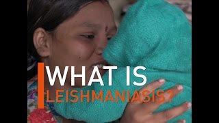 What is Leishmaniasis [upl. by Thornie790]