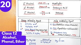 20 Oxidation of alcohols reaction of alcohol with KMno4 Jones reagent PCC Alcohol phenol class12 [upl. by Ziagos]