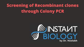 Screening of Recombinant Clones through Colony PCR NPTEL [upl. by Osnofla]