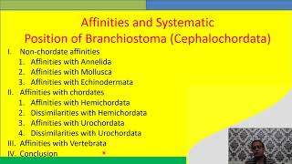 Affinities of Cephalochordata [upl. by Garek86]