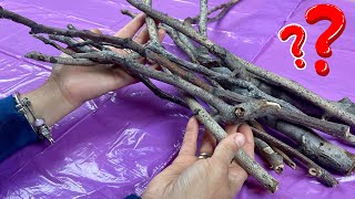 Look What I Made With Tree Branches I Collected From the Garden DIY [upl. by Niram]