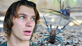 Hunting Australias Most VENOMOUS Spiders FunnelWeb amp RedBack [upl. by Kucik]