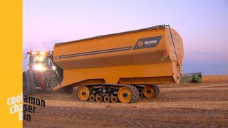 Coolamon Chaser Bin [upl. by Goda]