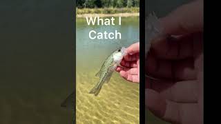 Always catching the dinks🤣🤣 fishing jesus subscribe [upl. by Singer787]