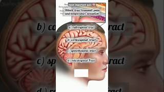 most important quiz 😊🤩 part 3 neuroanatomy shortsviral [upl. by Adnaluoy]