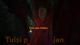 Dil ko chhu legaye tulsi maa ka bhajan 🙏tulsigeet trendingbhajan2024 vairalsongstatus shortvideo [upl. by Nivaj]