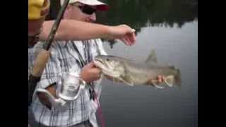 Pescuit la pastrav de lac  Lake Trout Fishing [upl. by Wichern172]