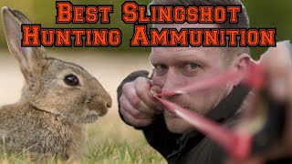 Catapult  Slingshot Ammo Choice for Hunting [upl. by Netti]