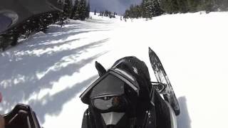 Grizzly Bear Snowmobile [upl. by Jannel103]