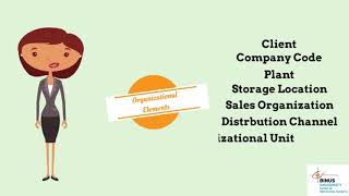 System Wide Concept in SAP Fundamental Part 1 [upl. by Eniladam]