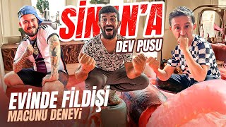 SİNANA DEV PUSU  EVİNİ FİLDİŞİ MACUNU İLE KAPLADIK [upl. by Kimmy]