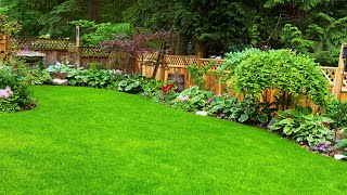 BEST 100 PRIVACY FENCE LANDSCAPING DESIGNS  BENEFITS DESIGNING IDEAS AND BUDGETFRIENDLY FENCE [upl. by Ellimahs]