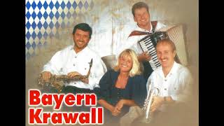 WIR GRATULIEREN Bayernkrawall 2000 [upl. by Rozalin]