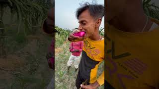 Inko Fruits Kaha se mel Gya minivlog aftabvlog shorts farming vlog aftabshaikh [upl. by Wylen]