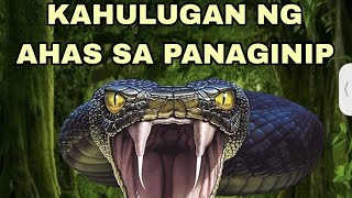 KAHULUGAN NG AHAS SA PANAGINIP [upl. by Neliak363]