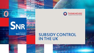 Subsidy control in the UK [upl. by Darach]