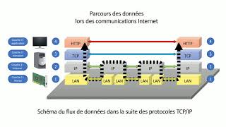 Cest quoi le TCPIP [upl. by Wollis]