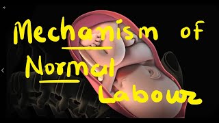 Mechanism of Labor made easy Step By Step Approach [upl. by Francene]