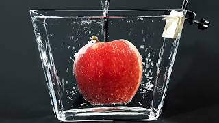 THIS APPLE WOULD KILL YOU  1 YEAR underwater [upl. by Om]