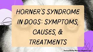 Horner’s Syndrome In Dogs Symptoms Causes amp Treatments [upl. by Monroy]