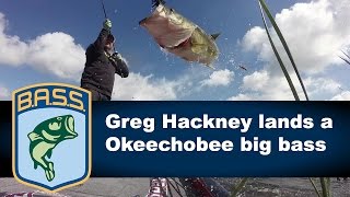 Greg Hackney catches a big bass on Day 1 on Lake Okeechobee [upl. by Ivana305]