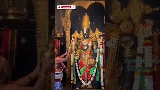 Narayana nee namame gadiyeka shortfeed lord tirupati tirumala darshan song devotional trend [upl. by Treiber]