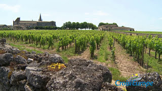 France  l Aquitaine et Bordeaux en croisière sur la Gironde et la Garonne  CroisiEurope [upl. by Naedan]