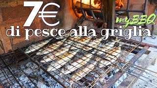 pesce supereconomico alla griglia Il suro è squisito provateelo [upl. by Eppes]