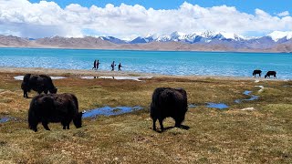 Tajikistan  Pamir Highway Samarkand roadtrip 2024 [upl. by Potter]