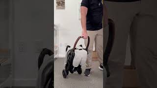 Best Compact Strollers ✈️ stroller [upl. by Ahrens]