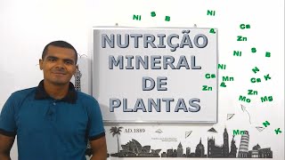 Questões de Concursos  Mobilidade de Nutrientes [upl. by Maria]