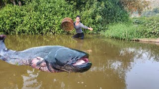 Discovering there was a big fish the girl immediately used a bamboo basket to catch the fish [upl. by Scarrow130]