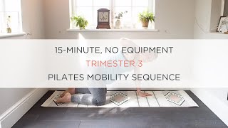 15 Minute Trimester 3 Mobility Workout [upl. by Grewitz]