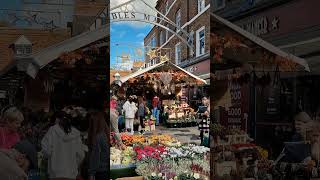 🍁 Step into autumn at Shambles Market 🍂 Open 7 days a week until 5pm [upl. by Sakhuja]