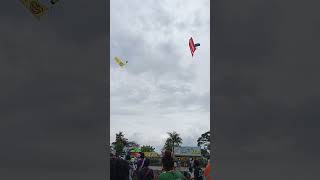 Parachuters at Morobe Show 2024 [upl. by Naniac]