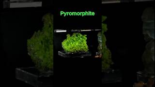 Pyromorphite 💎 crystals gemstone pyromorphite rare  raregems minerals shorts short tiktok [upl. by Enyawud]