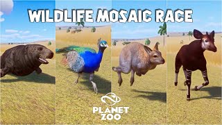 Okapi Indian Peafowl Red Necked Wallaby Dwarf Caiman Grey Seal  Planet Zoo Animals Race [upl. by Sidnak949]