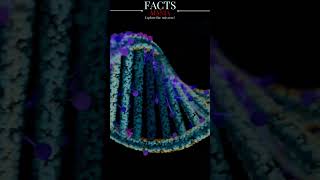 CRISPR Gene Editing Cas9 Technology  Exploring DNA Manipulation biotechnology shorts [upl. by Shabbir]