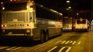 A Parade Of New Jersey Transit Buses In The Port Authority Bus Terminal [upl. by Gerek]