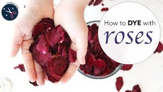 Roses dye yarn or fabric pink  mauve  natural dye tutorial  Last Minute Laura [upl. by Anthia]