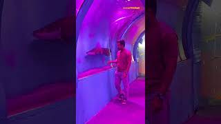 Underwater Fish Tunnel Expo Tour  Kamothe Khandeshwar  कमोठे में अंडरवॉटर फिश टनल एक्सपो का टूर [upl. by Feld986]