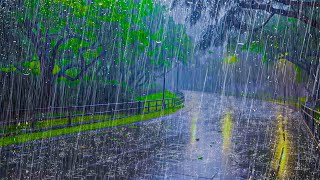 FORTE PLUIE pour Dormir Profondément  Bruit de la Pluie et Orage pour Dormir et Détends ton Esprit [upl. by Bolen]